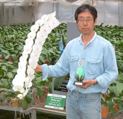 ムラヤマ 森田洋蘭園